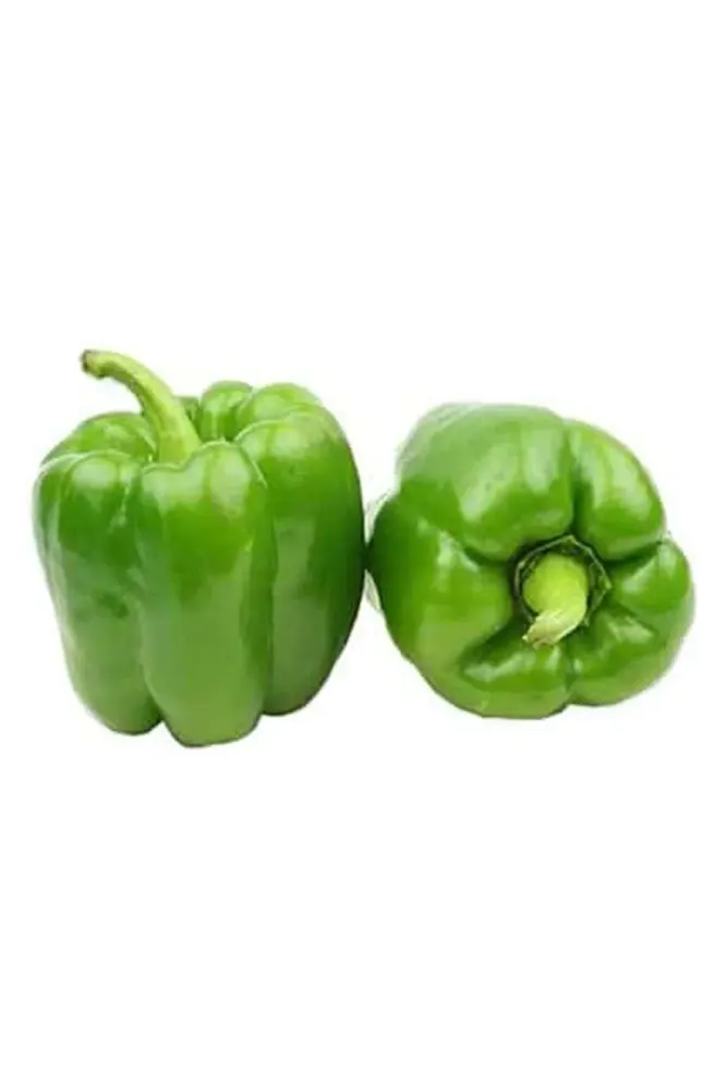 Biber Dolmalık kg (9-10 kg)