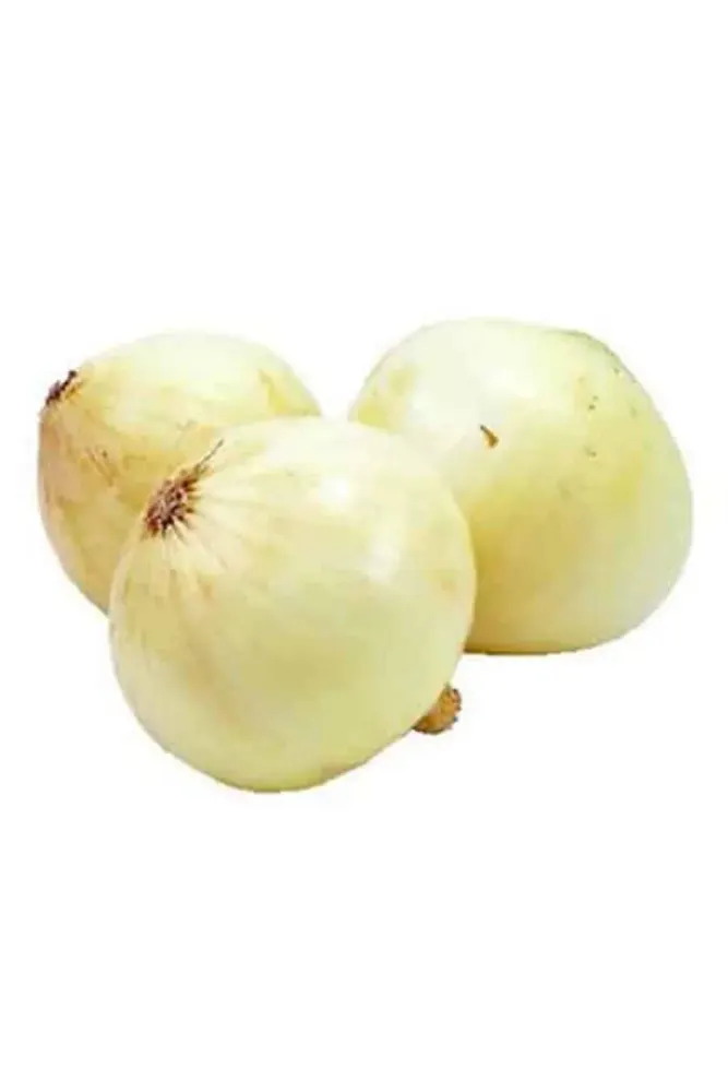 Kuru Soğan Taze kg