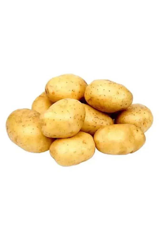 Patates Taze kg (45-50)
