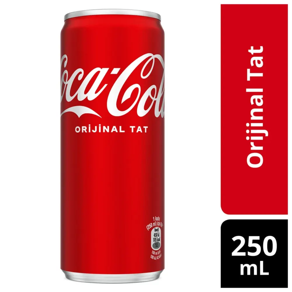 Coca Cola 250 ml Kutu